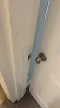 Got home to my gf spread and ready for my dick